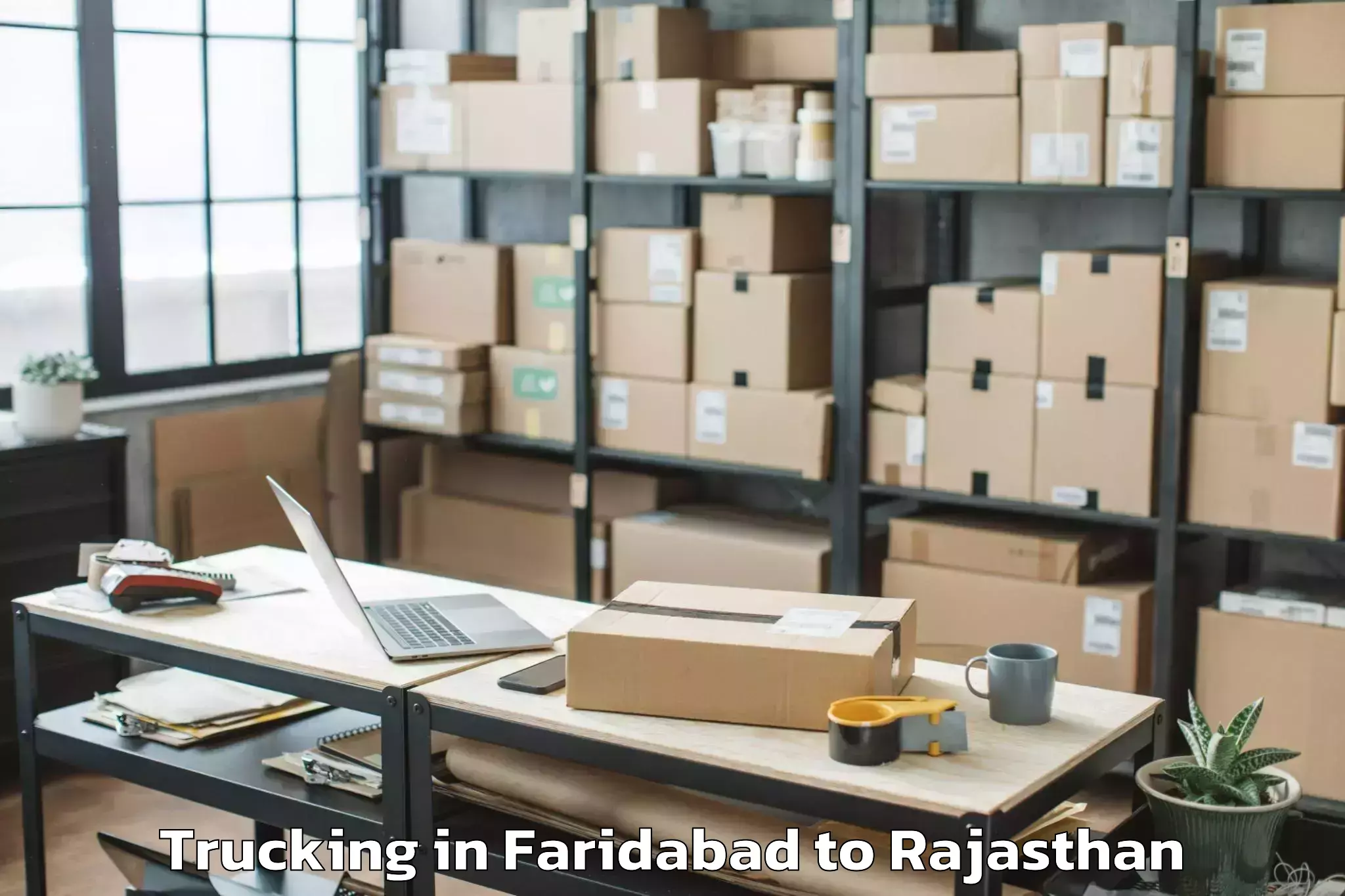 Professional Faridabad to Chittorgarh Trucking